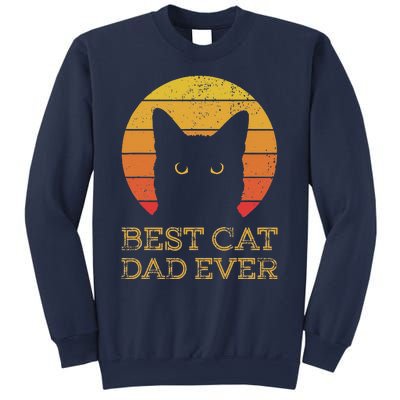 Best Cat Dad Ever Vintage Funny Cat Daddy Fathers Day Sweatshirt