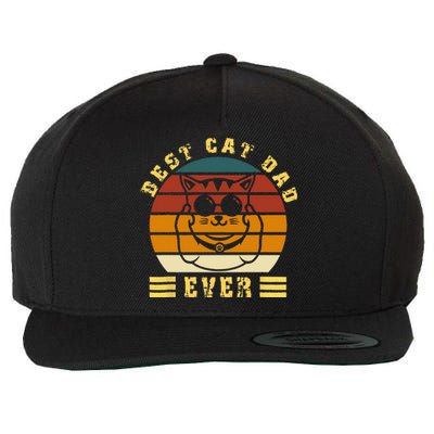 Best Cat Dad Ever Daddy Vintage sunglass father's day Funny Wool Snapback Cap