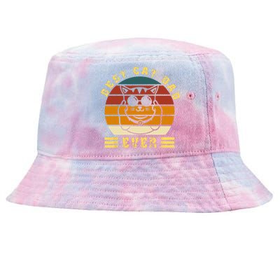 Best Cat Dad Ever Daddy Vintage sunglass father's day Funny Tie-Dyed Bucket Hat