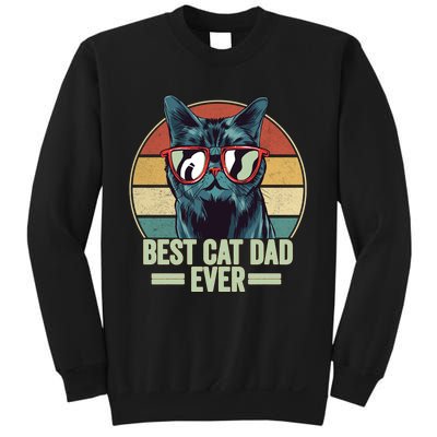 Best Cat Dad Ever Cat Dad Gift Sweatshirt