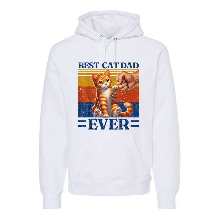 Best Cat Dad Ever Vintage Best Tabby Cat Dad Orange Tabby Premium Hoodie