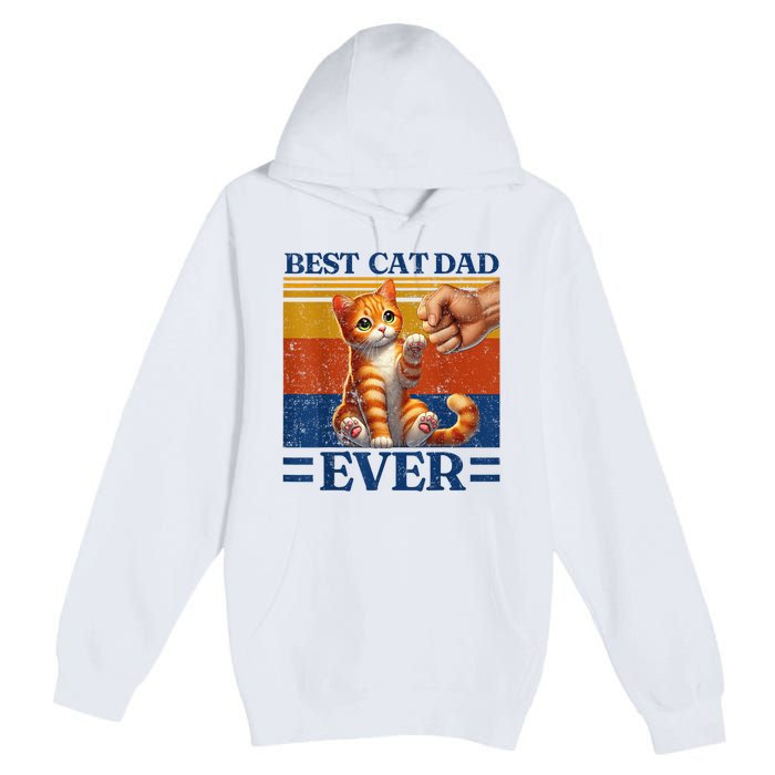 Best Cat Dad Ever Vintage Best Tabby Cat Dad Orange Tabby Premium Pullover Hoodie