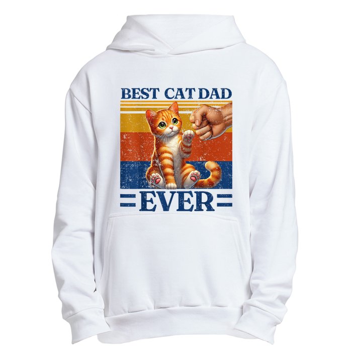 Best Cat Dad Ever Vintage Best Tabby Cat Dad Orange Tabby Urban Pullover Hoodie