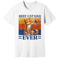 Best Cat Dad Ever Vintage Best Tabby Cat Dad Orange Tabby Premium T-Shirt