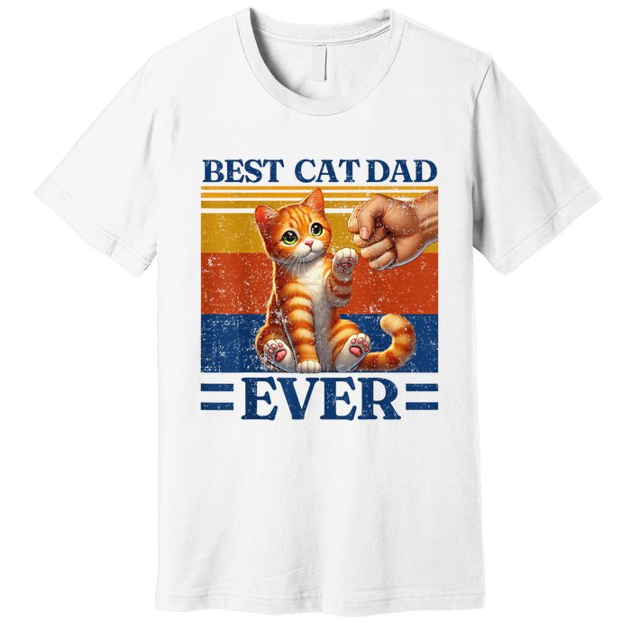 Best Cat Dad Ever Vintage Best Tabby Cat Dad Orange Tabby Premium T-Shirt