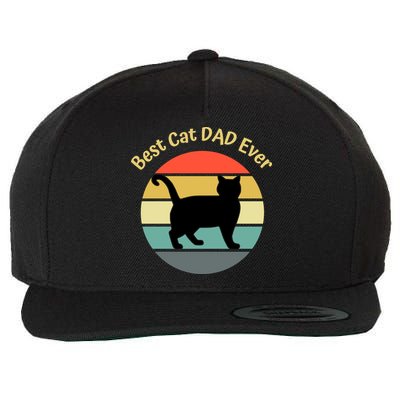 Best Cat Dad Ever Wool Snapback Cap