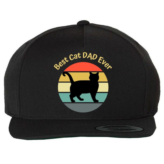 Best Cat Dad Ever Wool Snapback Cap