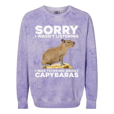 Best Capybara Design Pet Rodent Capybara Colorblast Crewneck Sweatshirt