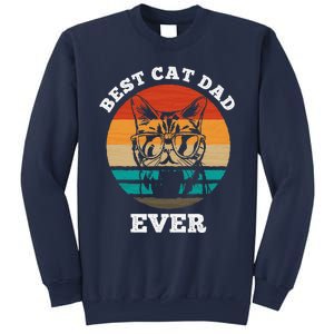 Best Cat Dad Ever Cat Daddy Father Day Gift & Birthday Gifts Sweatshirt