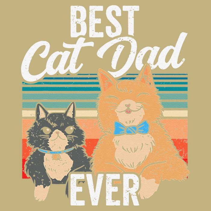 Best Cat Dad Ever Daddy Fathers Day Father Sayings Hoodie