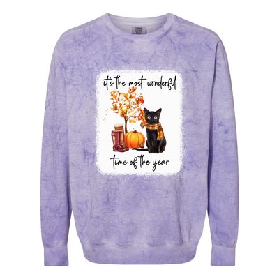 Black Cat Fall It‘s The Most Wonderful Time Of The Year Gift Colorblast Crewneck Sweatshirt