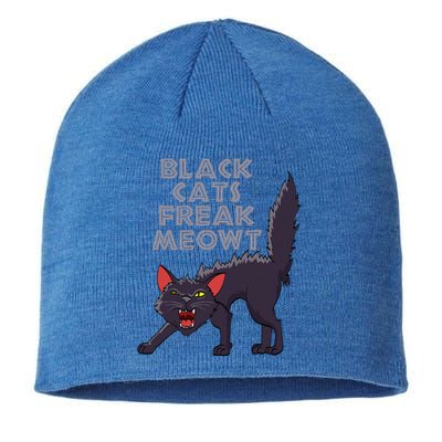 Black Cats Freaking Me Out Meowt Kitten Kitty Cat Halloween Sustainable Beanie