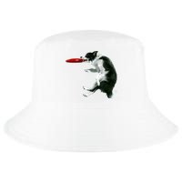Border Collie Frisbee Graphic Sheepdog Print Gift Cool Comfort Performance Bucket Hat