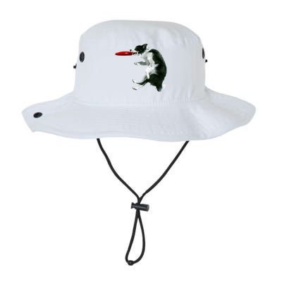 Border Collie Frisbee Graphic Sheepdog Print Gift Bucket Hat