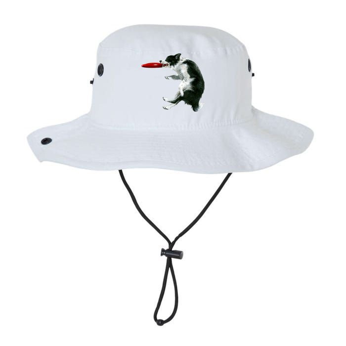 Border Collie Frisbee Graphic Sheepdog Print Gift Bucket Hat