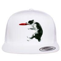 Border Collie Frisbee Graphic Sheepdog Print Gift Flat Bill Trucker Hat