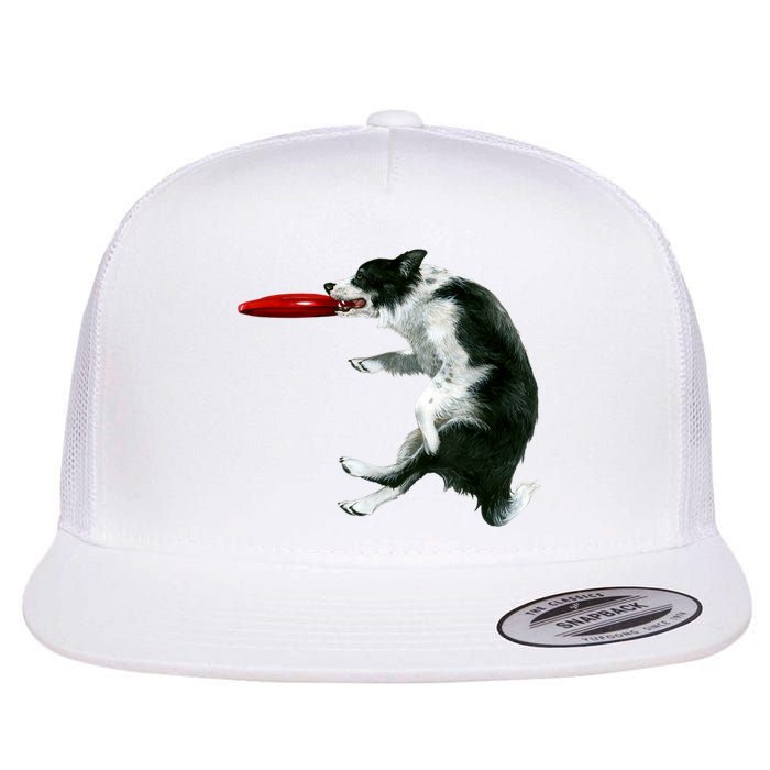 Border Collie Frisbee Graphic Sheepdog Print Gift Flat Bill Trucker Hat
