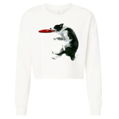 Border Collie Frisbee Graphic Sheepdog Print Gift Cropped Pullover Crew