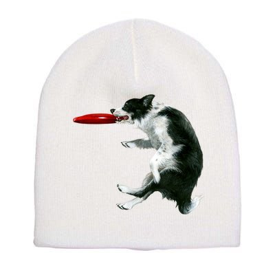 Border Collie Frisbee Graphic Sheepdog Print Gift Short Acrylic Beanie