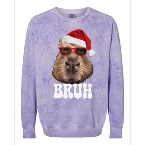 Bruh Capybara Funny Santa Hat Christmas Season Capybara Colorblast Crewneck Sweatshirt