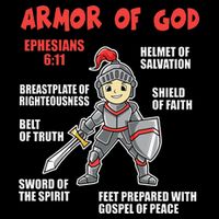 Bible Chapters For Put On The Full Armor Of God 7-Panel Snapback Hat