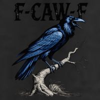 Black Crow F-Caw-F Black Bird  Adult Drive Performance Visor
