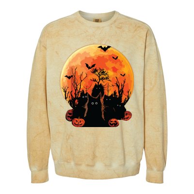 Black Cats Full Moon Funny Animal Pet Lover Halloween Colorblast Crewneck Sweatshirt