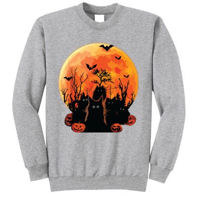 Black Cats Full Moon Funny Animal Pet Lover Halloween Tall Sweatshirt