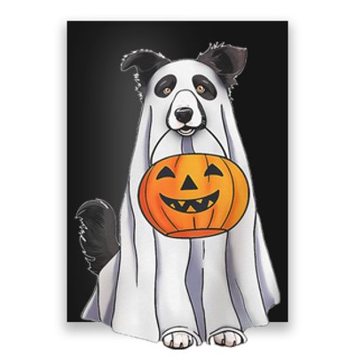 Border Collie Ghost Pumpkin Halloween Costume Fall Poster