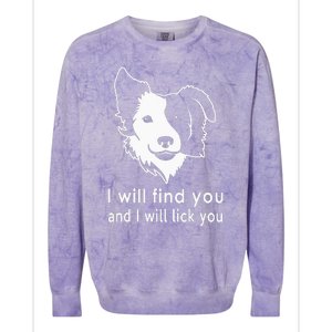 Border Collie gifts for dog lovers owners Colorblast Crewneck Sweatshirt