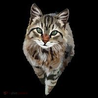Brown Cat Green Eyes Cats Tee Gifts Premium T-Shirt