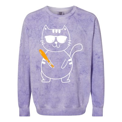 Baseball Cat Gift Funny Baseball Player Baseballer Gift Colorblast Crewneck Sweatshirt