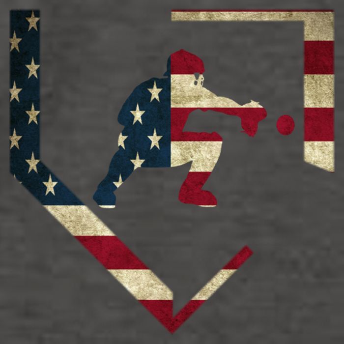 Baseball Catcher Gear Cute Gift American Flag Baseballin Gift Vector Backpack
