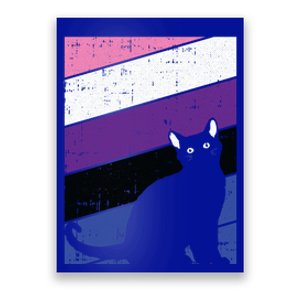 Black Cat Genderfluid Pride Kitten Lover Lgbtq Proud Ally Funny Gift Poster