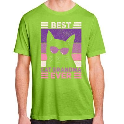 Best Cat Grandma Ever Women Cat Lover Funny Black Cat Themed Adult ChromaSoft Performance T-Shirt