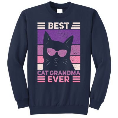 Best Cat Grandma Ever Women Cat Lover Funny Black Cat Themed Sweatshirt