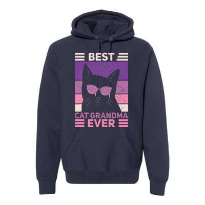 Best Cat Grandma Ever Women Cat Lover Funny Black Cat Themed Premium Hoodie