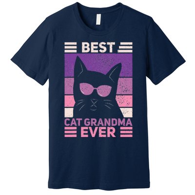 Best Cat Grandma Ever Women Cat Lover Funny Black Cat Themed Premium T-Shirt