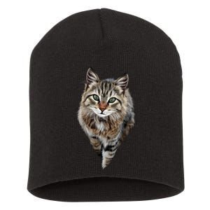 Brown Cat Green Eyes Cats Gifts Short Acrylic Beanie