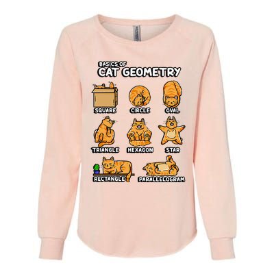 Basic Cat Geometry Cute Cat Cat Lover Cat Owner Math School Womens California Wash Sweatshirt