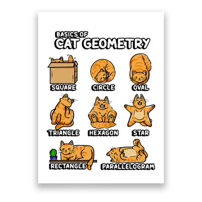Basic Cat Geometry Cute Cat Cat Lover Cat Owner Math School Poster