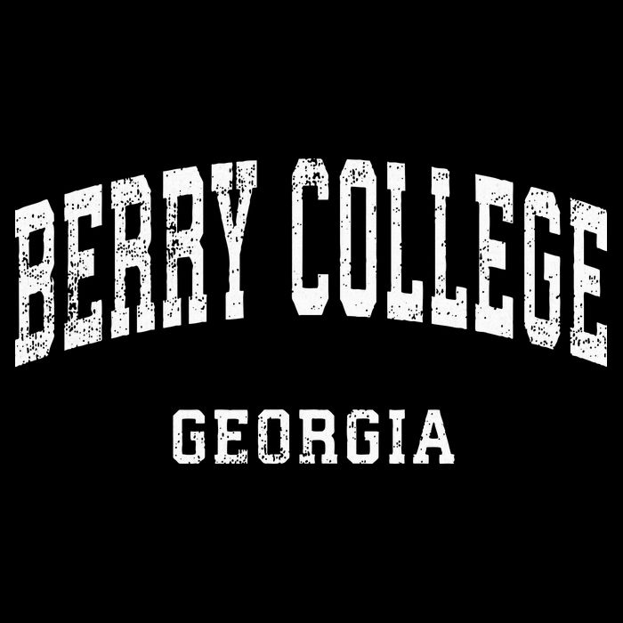 Berry College Georgia Ga Vintage Button