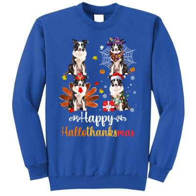 Border Collie Halloween Merry Christmas Happy Hallothanksmas Gift Sweatshirt