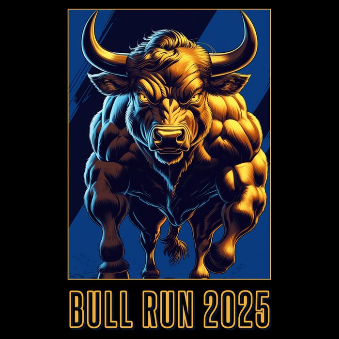 Bitcoin Cryptocurrency HODL Trader BTC Bull Run  Mousepad