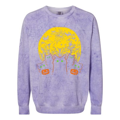 Black Cats Halloween Colorblast Crewneck Sweatshirt