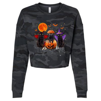 Black Cat Halloween Black Cat Sitting On Pumpkin Cropped Pullover Crew