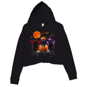 Black Cat Halloween Black Cat Sitting On Pumpkin Crop Fleece Hoodie