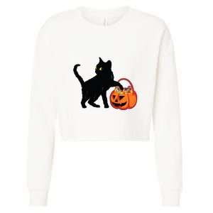 Black Cat Halloween Pumpkin Cropped Pullover Crew