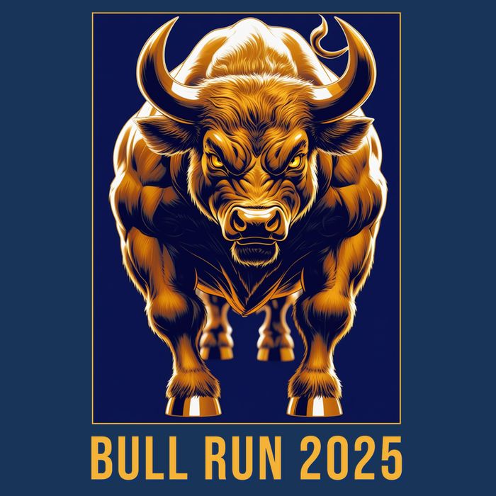 Bitcoin Cryptocurrency HODL Trader BTC Bull Run  Cooling Performance Crew T-Shirt