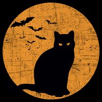 Black Cat Halloween Moon V-Neck T-Shirt